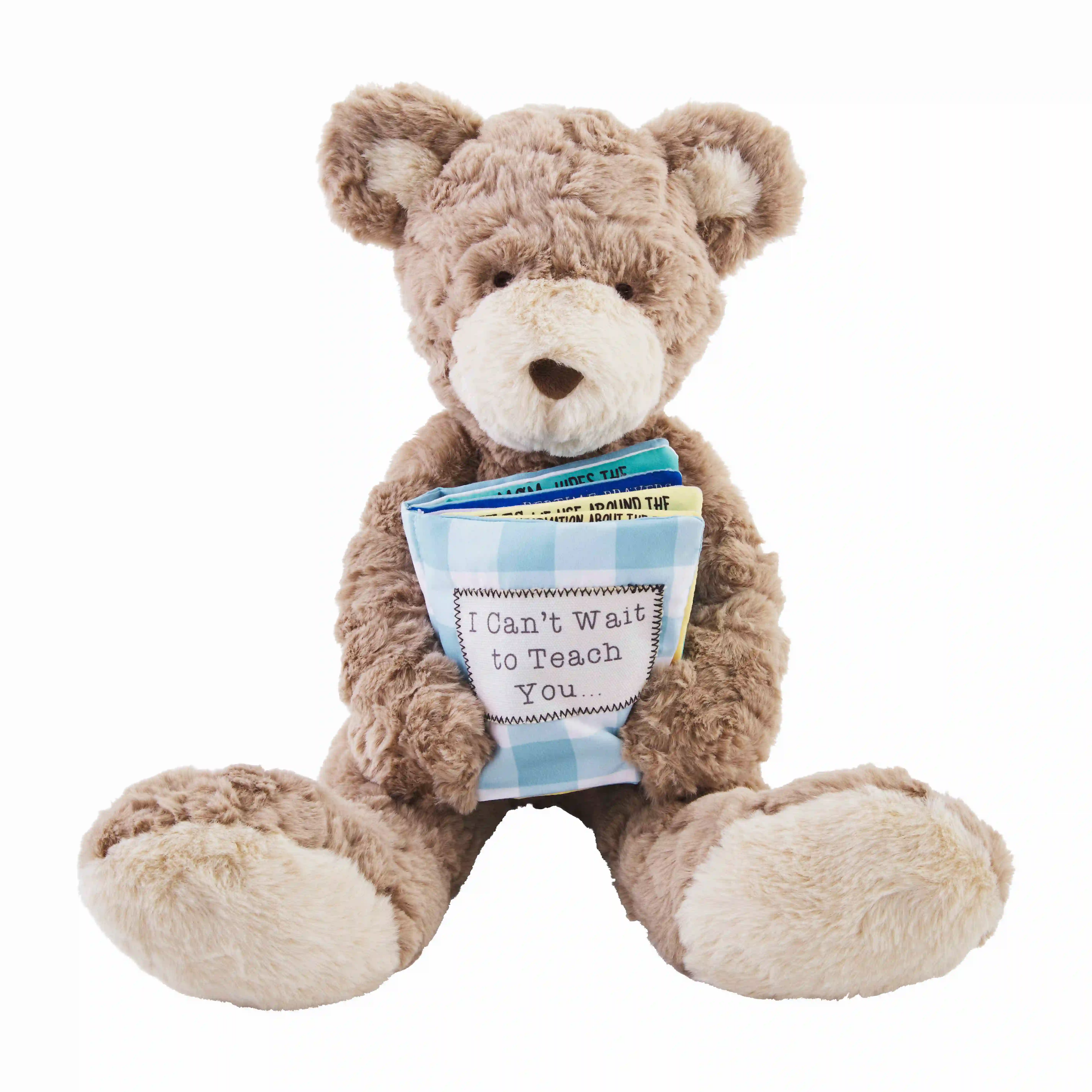 Big Brother Book and Bear - Brinhdeeks